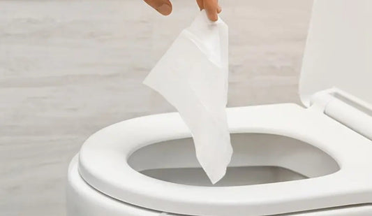 Hygiène intime aux toilettes : pourquoi le papier toilette humide change tout