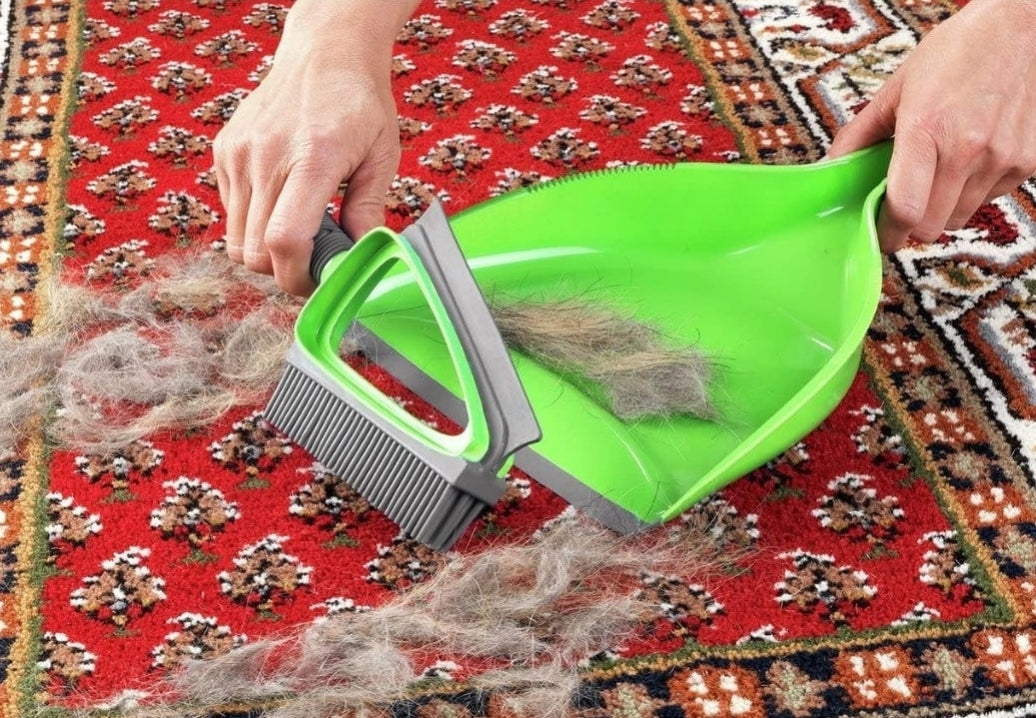 balayage à sec et liquide pour la maison