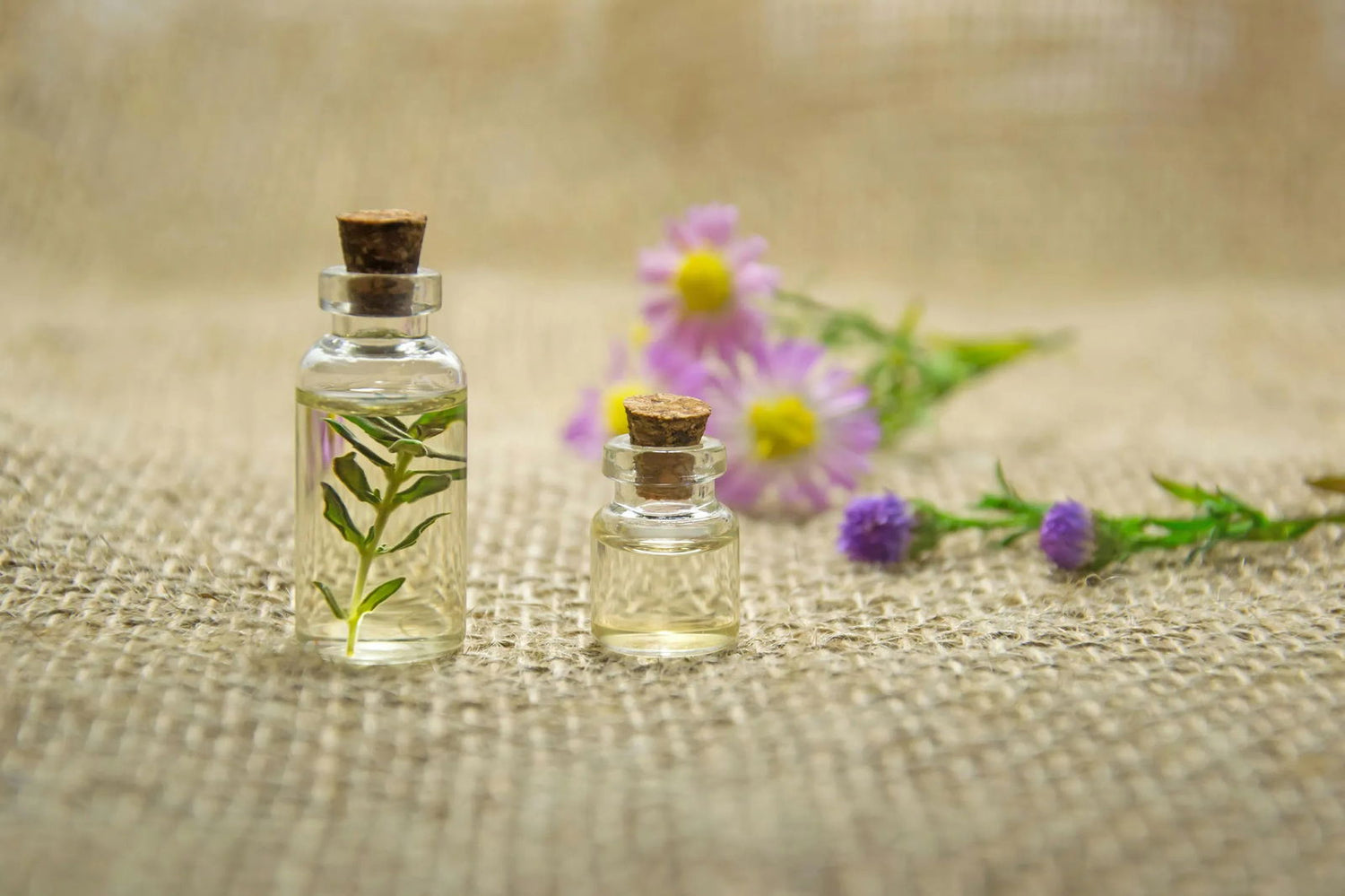 Parfums et Neutralisateurs pour salle de bain - Les tresors de PAQ