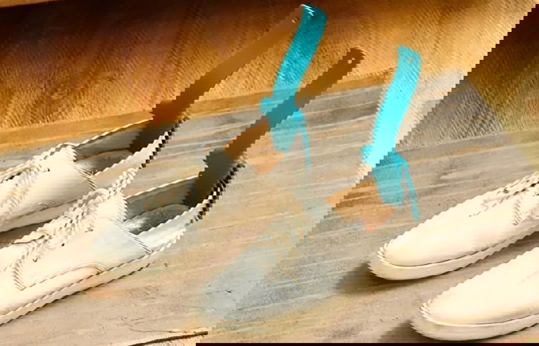 Chausse-pied pratique - Les tresors de PAQ