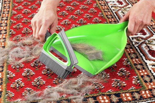 Duo balayage à sec et liquide - Les tresors de PAQ