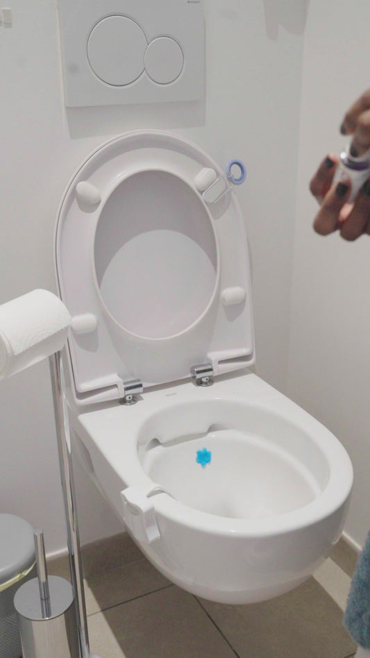 Neutralisateur d'odeurs/accessoires astucieux et pratiques pour faciliter le quotidien